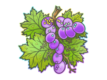 From The Vine