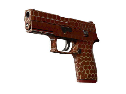 Hive