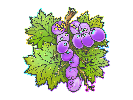 From The Vine
