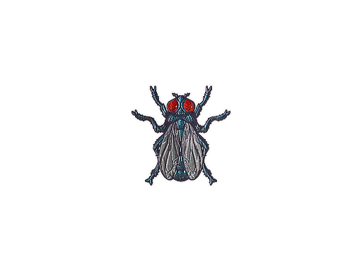 Fruit Fly