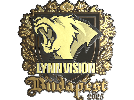 Lynn Vision