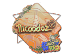nicoodoz