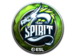 Team Spirit