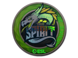 Team Spirit