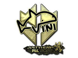 VINI