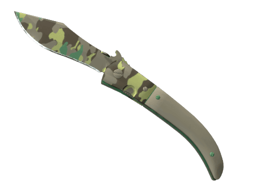 Boreal Forest